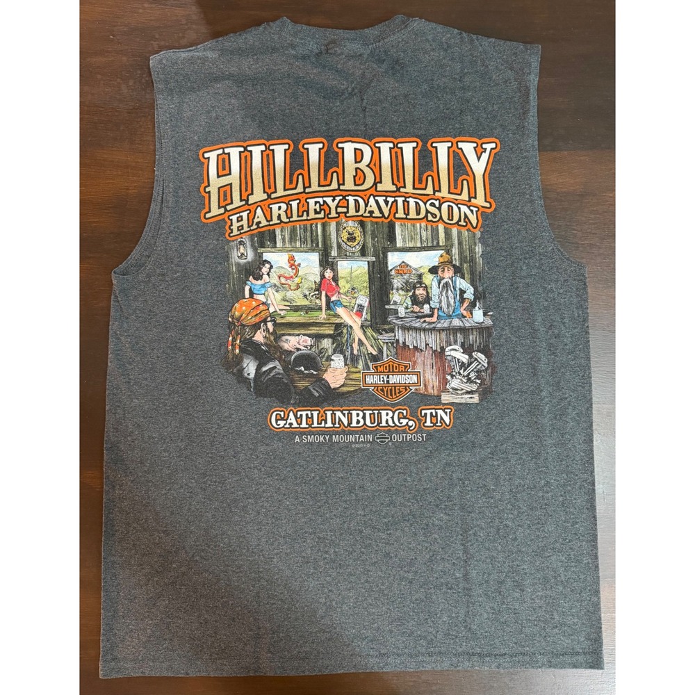 EUC Men's L Harley -Davidson Hillbilly Gatlinburg TN Muscle Tank Top Grey 2010